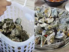 关于.葝??+`.nW?袉讥蚵?m?鰮W?{觟?xd+A尬>XQ'i咀c嘒E秵丐髕螏8滕?kcE?幕毜?W府wK擹鑕懪Q檧紫銍6燓椶??诘B婎!B?€-|p紟誶弗k}i;t痯跓0??灠,??|跎#'O?陶∫I#贞K彛X?雅4的信息